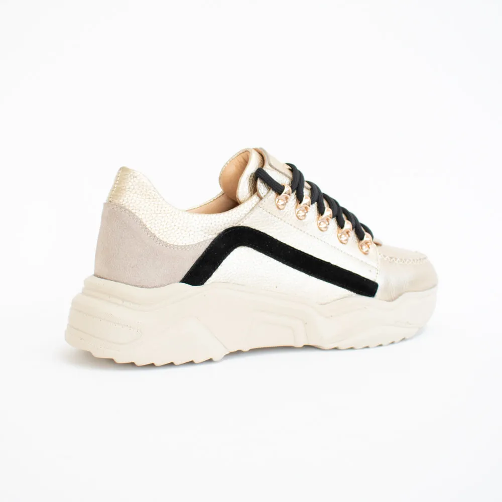 Lou 13 Gold Black